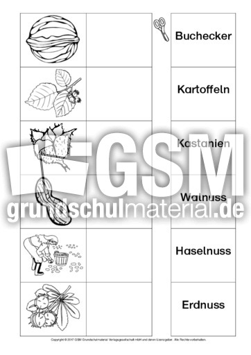 AB-Zuordnung-Wörter-Herbst-2-SW.pdf